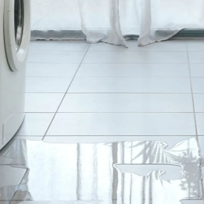 Appliance Leak Cleanup in Pleasant Hill, MO