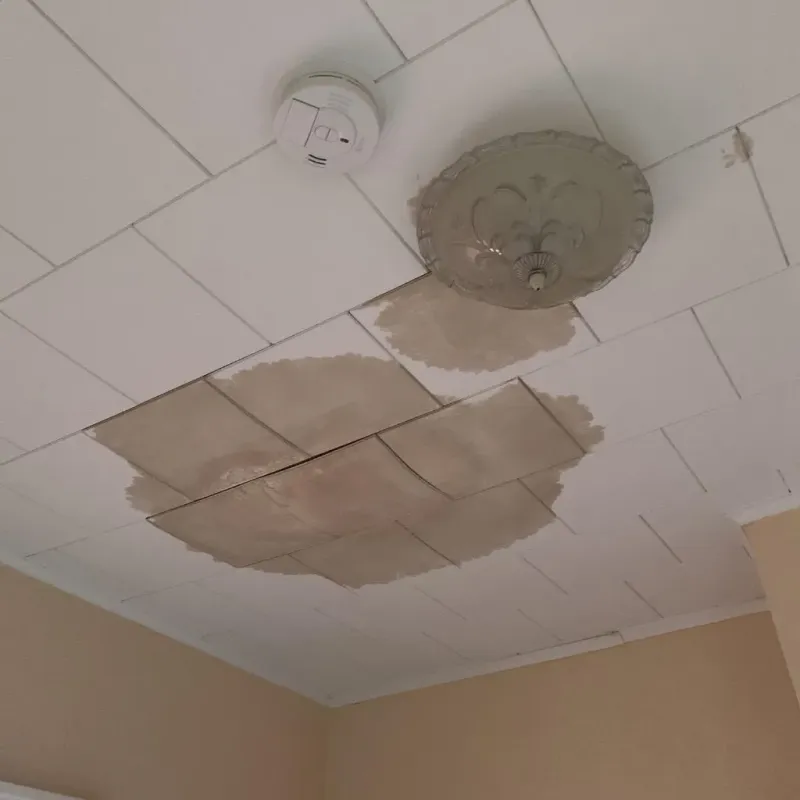 Ceiling Water Damage Repair in Pleasant Hill, MO