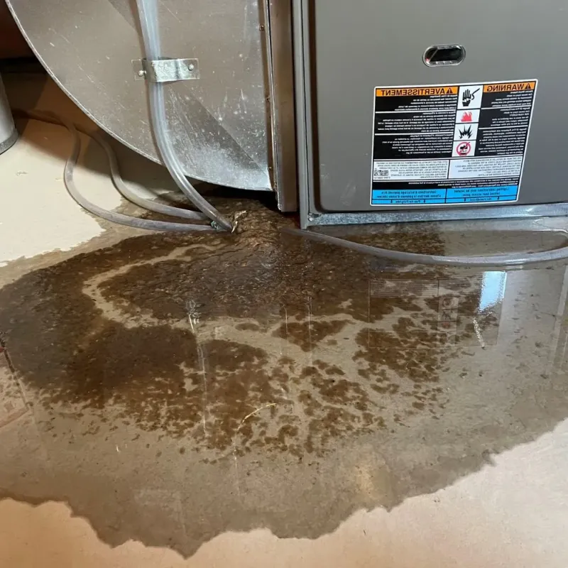 Pipe Burst and Leak Restoration in Pleasant Hill, MO